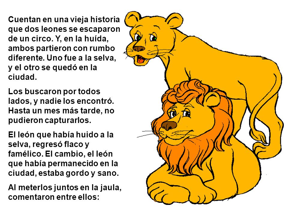 Cuentan en una vieja historia que dos leones se escaparon de un circo