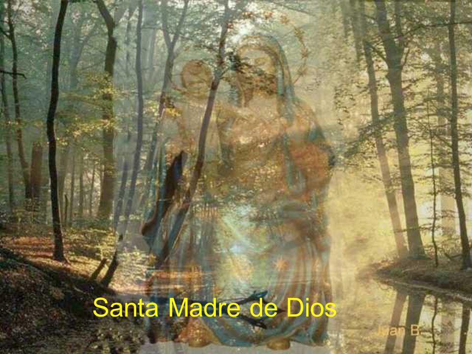 Santa Madre de Dios Composición de imágenes Juan Braulio Arzoz