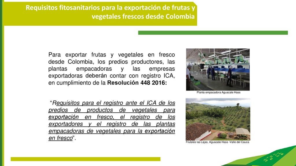 Requisitos fitosanitarios para la exportación de frutas y vegetales frescos desde Colombia