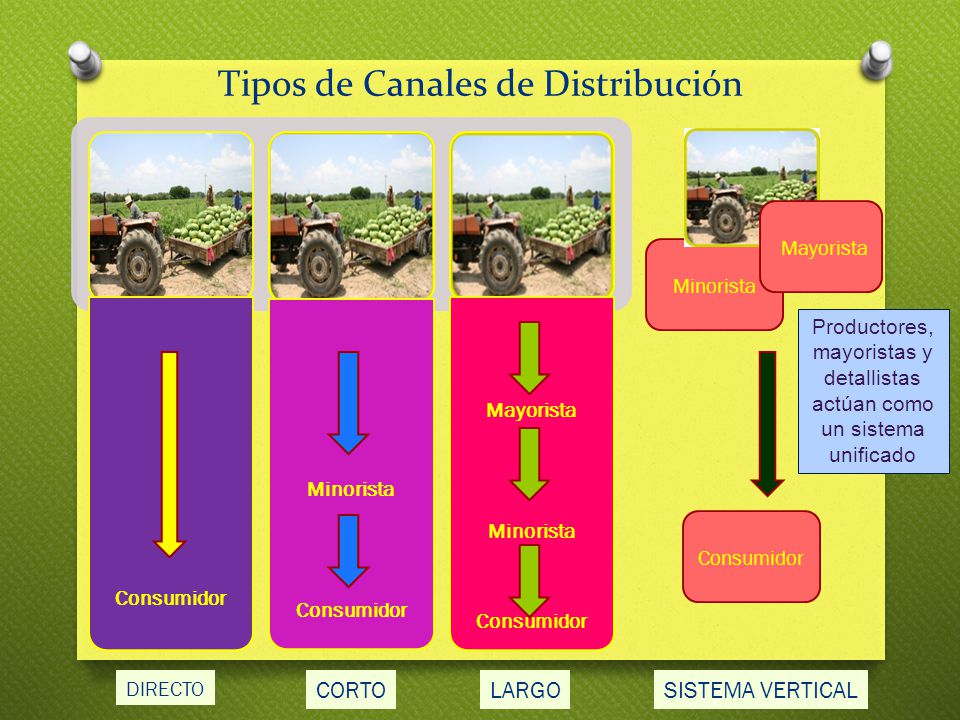 Tipos de Canales de Distribución