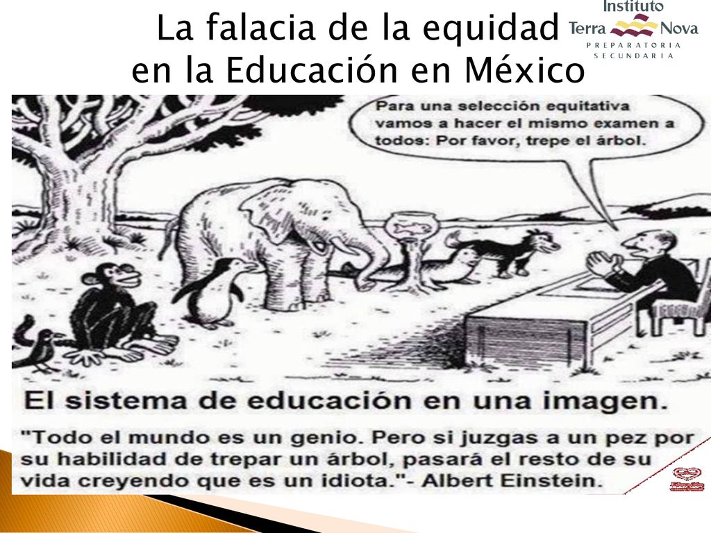 La falacia de la equidad en la Educación en México