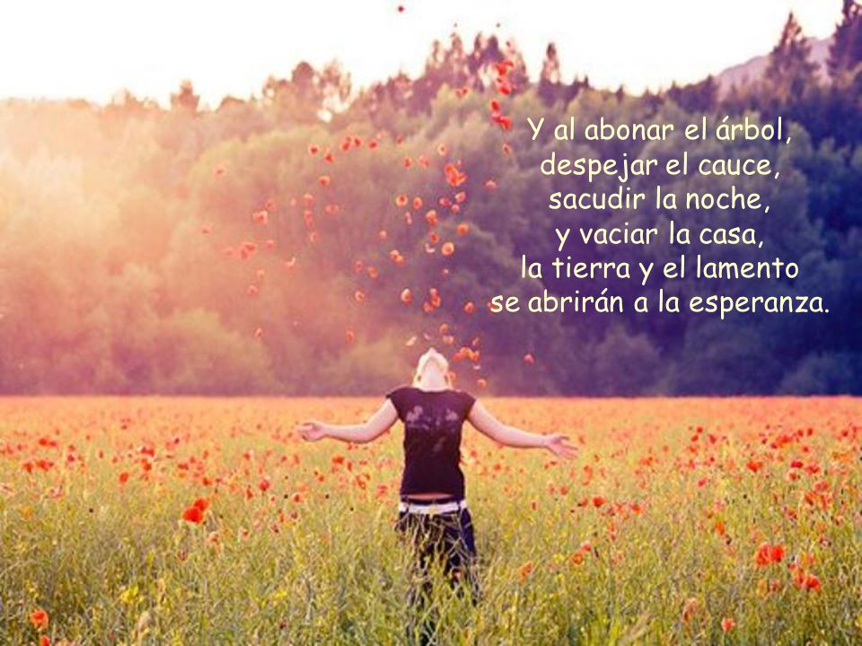 Y al abonar el árbol, despejar el cauce, sacudir la noche, y vaciar la casa, la tierra y el lamento se abrirán a la esperanza.