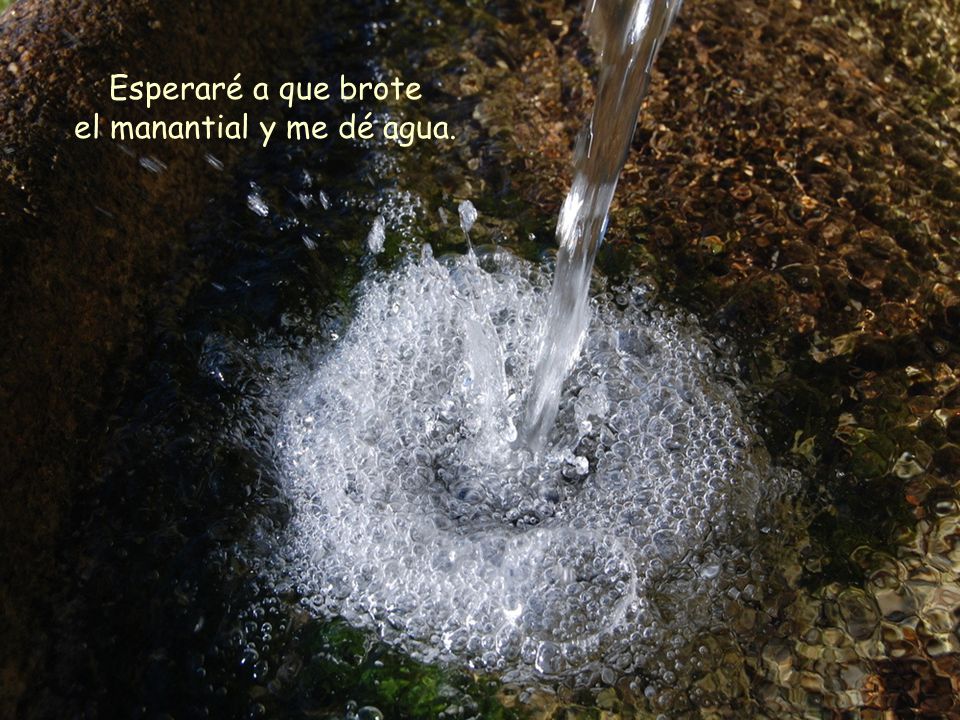 Esperaré a que brote el manantial y me dé agua.