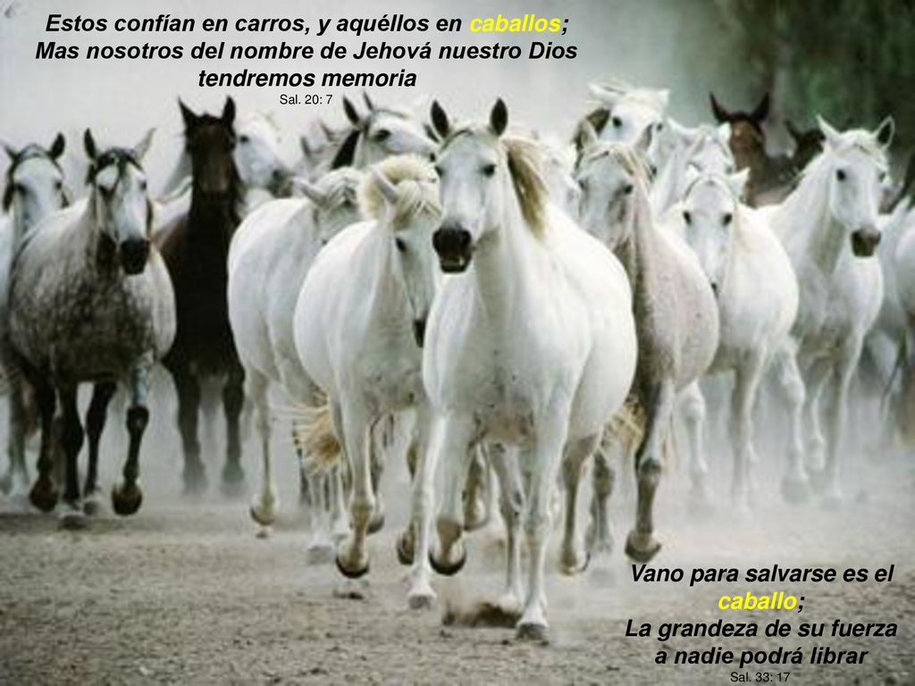 Estos confían en carros, y aquéllos en caballos; Mas nosotros del nombre de Jehová nuestro Dios tendremos memoria