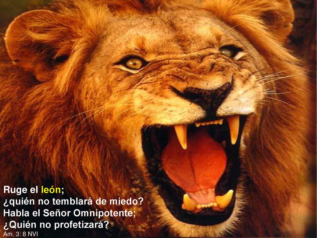 ¿quién no temblará de miedo Habla el Señor Omnipotente;