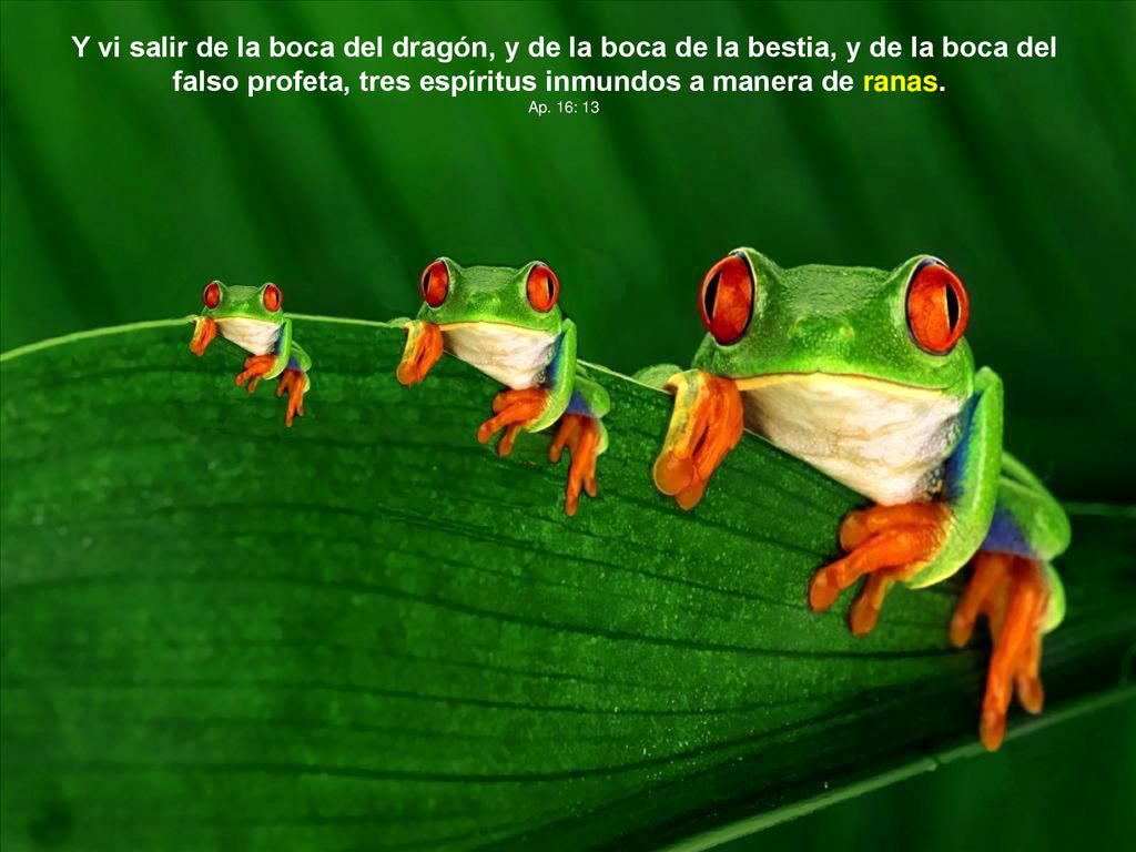 Y vi salir de la boca del dragón, y de la boca de la bestia, y de la boca del falso profeta, tres espíritus inmundos a manera de ranas.