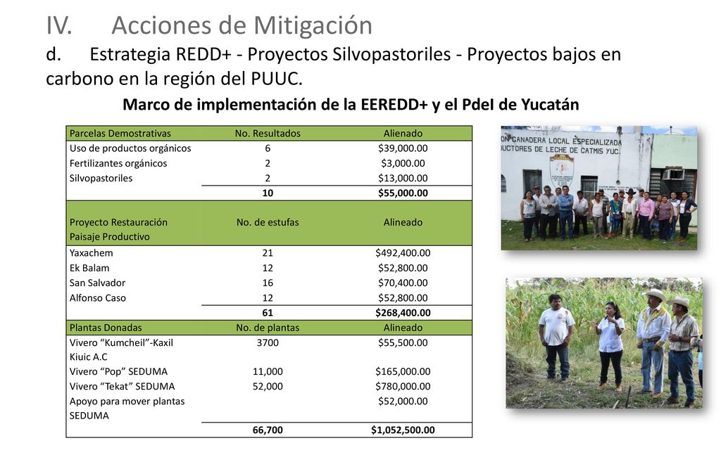Marco de implementación de la EEREDD+ y el PdeI de Yucatán