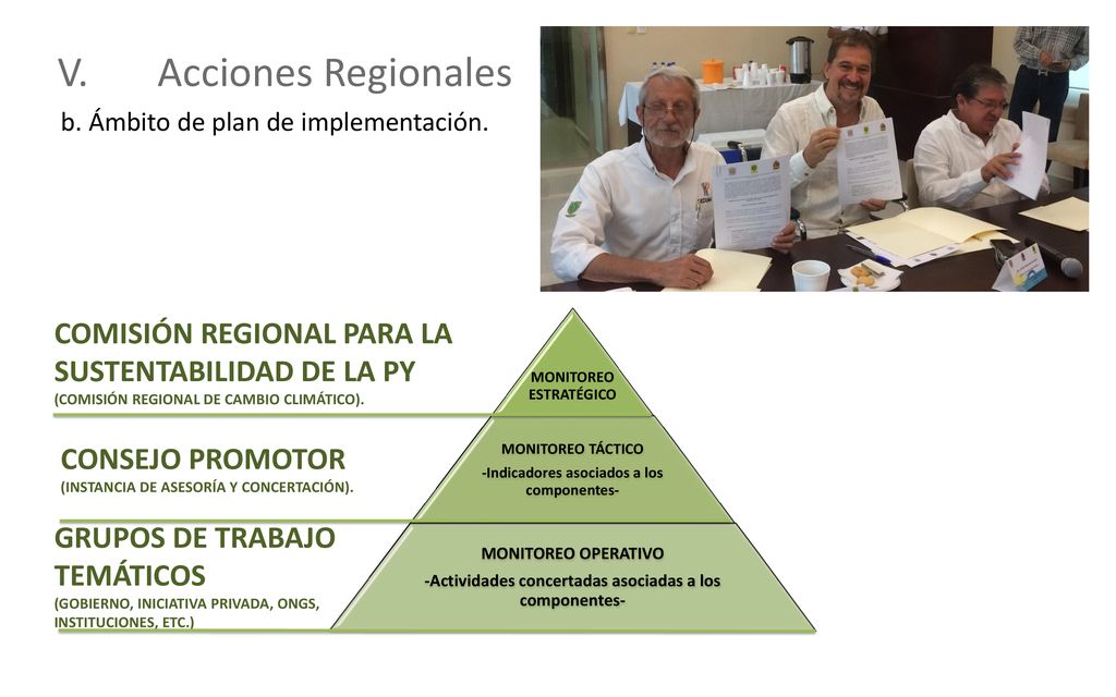 V. Acciones Regionales b. Ámbito de plan de implementación. MONITOREO ESTRATÉGICO. MONITOREO TÁCTICO.
