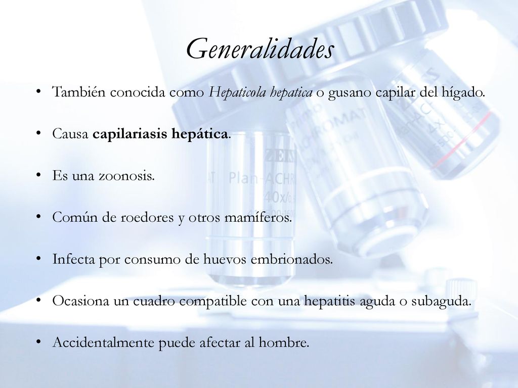 Generalidades También conocida como Hepaticola hepatica o gusano capilar del hígado. Causa capilariasis hepática.