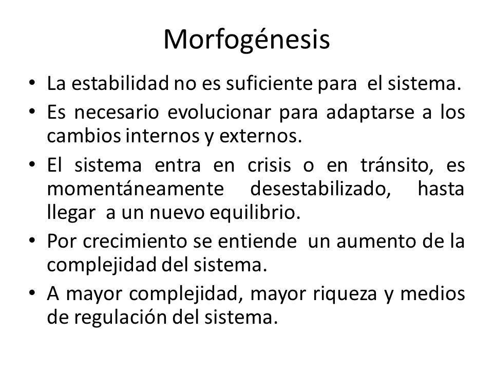 Morfogénesis La estabilidad no es suficiente para el sistema.