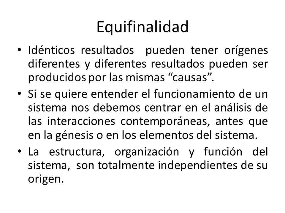 Equifinalidad Idénticos resultados pueden tener orígenes diferentes y diferentes resultados pueden ser producidos por las mismas causas .