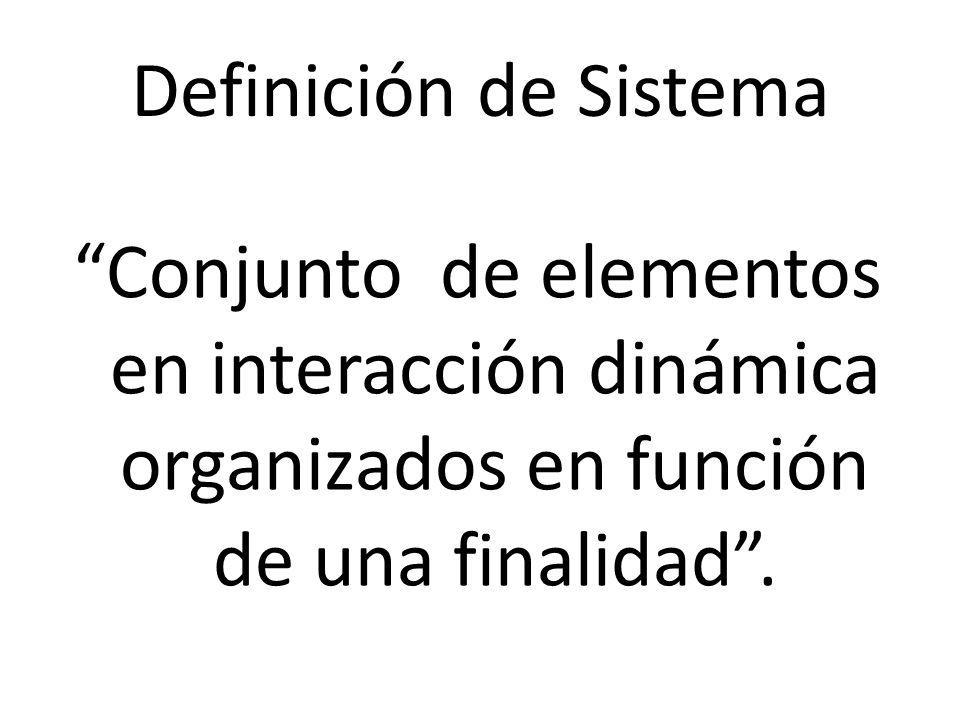 Definición de Sistema Conjunto de elementos en interacción dinámica organizados en función de una finalidad .