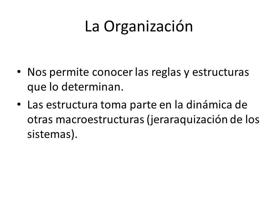 La Organización Nos permite conocer las reglas y estructuras que lo determinan.