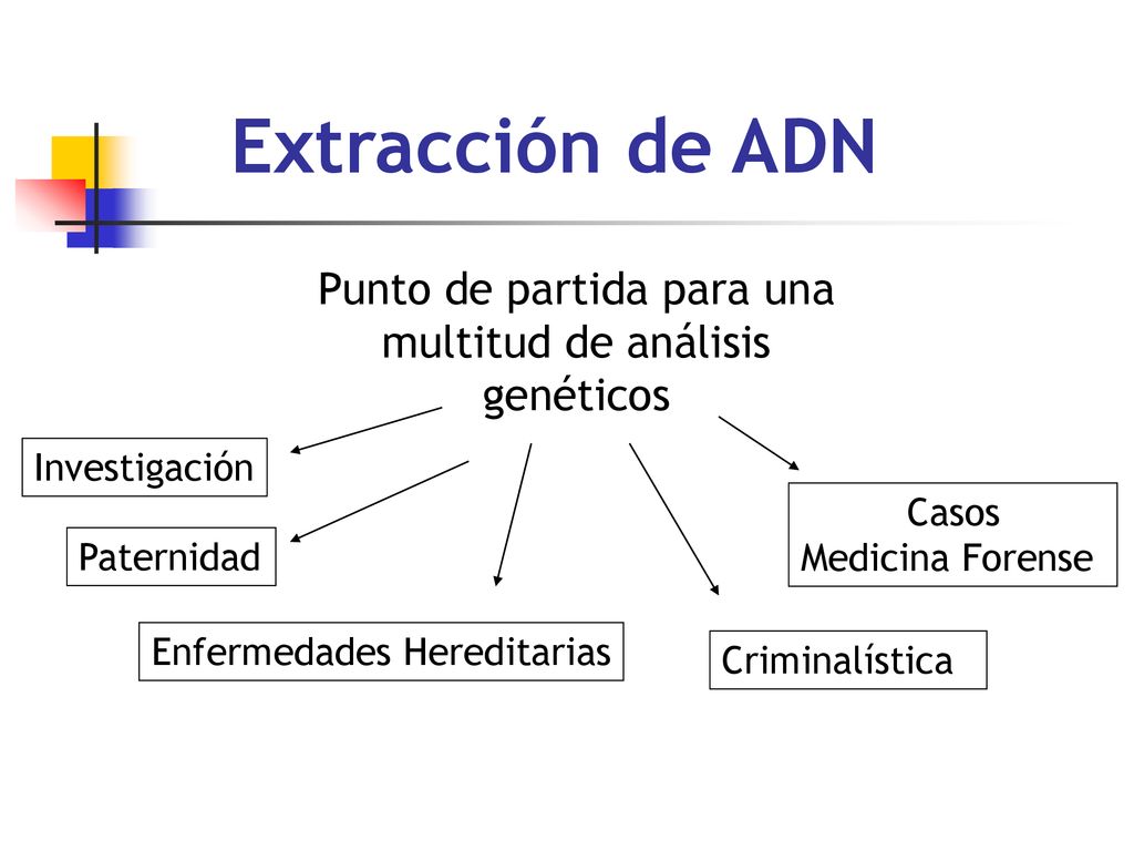 Extracción de ADN Punto de partida para una multitud de análisis genéticos. Investigación. Casos.