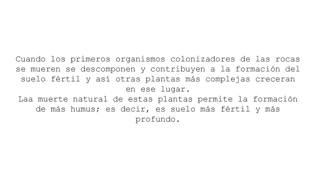 Cuando los primeros organismos colonizadores de las rocas se mueren se descomponen y contribuyen a la formación del suelo fértil y así otras plantas más complejas creceran en ese lugar.