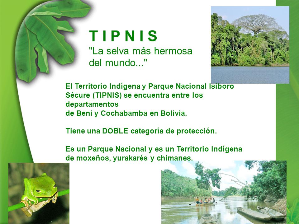 T I P N I S La selva más hermosa del mundo...