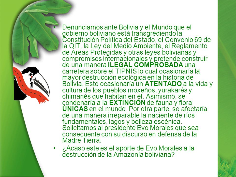 Denunciamos ante Bolivia y el Mundo que el gobierno boliviano está transgrediendo la Constitución Política del Estado, el Convenio 69 de la OIT, la Ley del Medio Ambiente, el Reglamento de Áreas Protegidas y otras leyes bolivianas y compromisos internacionales y pretende construir de una manera ILEGAL COMPROBADA una carretera sobre el TIPNIS lo cual ocasionaría la mayor destrucción ecológica en la historia de Bolivia. Esto ocasionaría un ATENTADO a la vida y cultura de los pueblos moxeños, yurakarés y chimanés que habitan en él. Asimismo, se condenaría a la EXTINCIÓN de fauna y flora ÚNICAS en el mundo. Por otra parte, se afectaría de una manera irreparable la naciente de ríos fundamentales, lagos y belleza escénica. Solicitamos al presidente Evo Morales que sea consecuente con su discurso en defensa de la Madre Tierra.