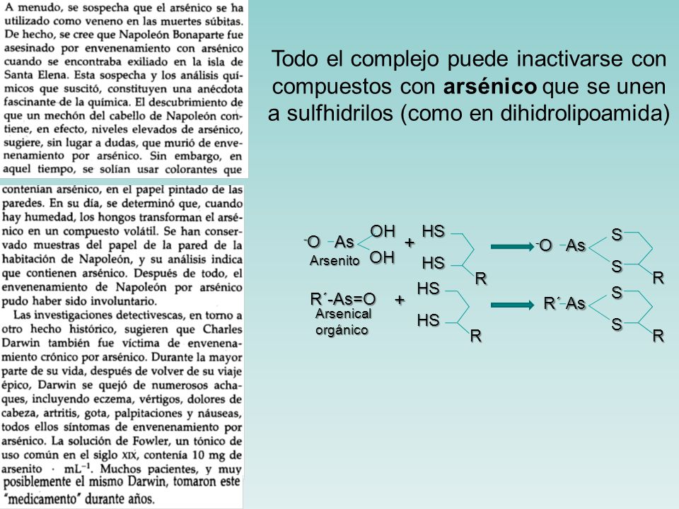 Todo el complejo puede inactivarse con compuestos con arsénico que se unen a sulfhidrilos (como en dihidrolipoamida)
