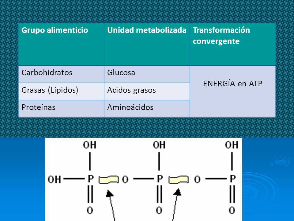 Grupo alimenticio Unidad metabolizada. Transformación convergente. Carbohidratos. Glucosa. ENERGÍA en ATP.