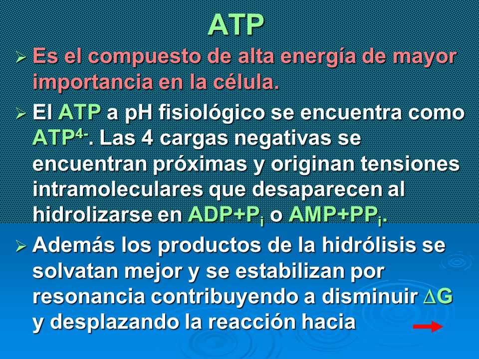 ATP Es el compuesto de alta energía de mayor importancia en la célula.
