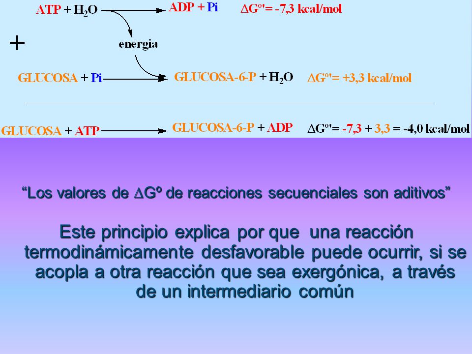 Los valores de DGº de reacciones secuenciales son aditivos