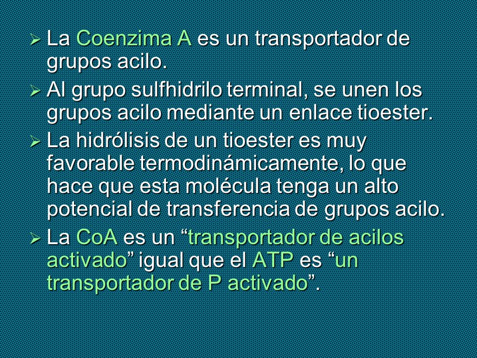 La Coenzima A es un transportador de grupos acilo.