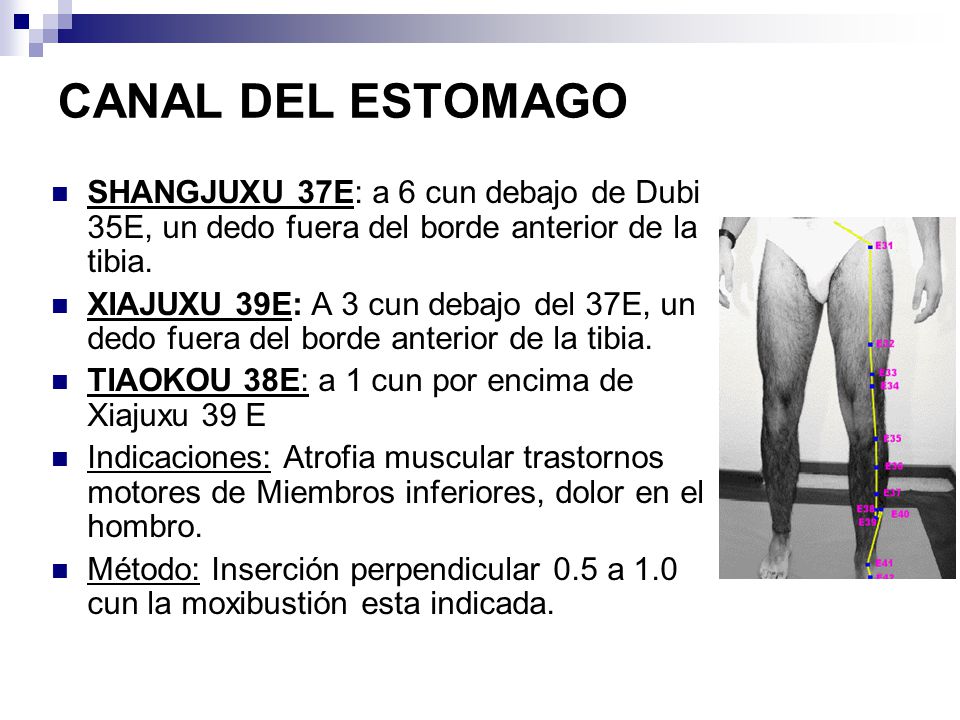 CANAL DEL ESTOMAGO SHANGJUXU 37E: a 6 cun debajo de Dubi 35E, un dedo fuera del borde anterior de la tibia.