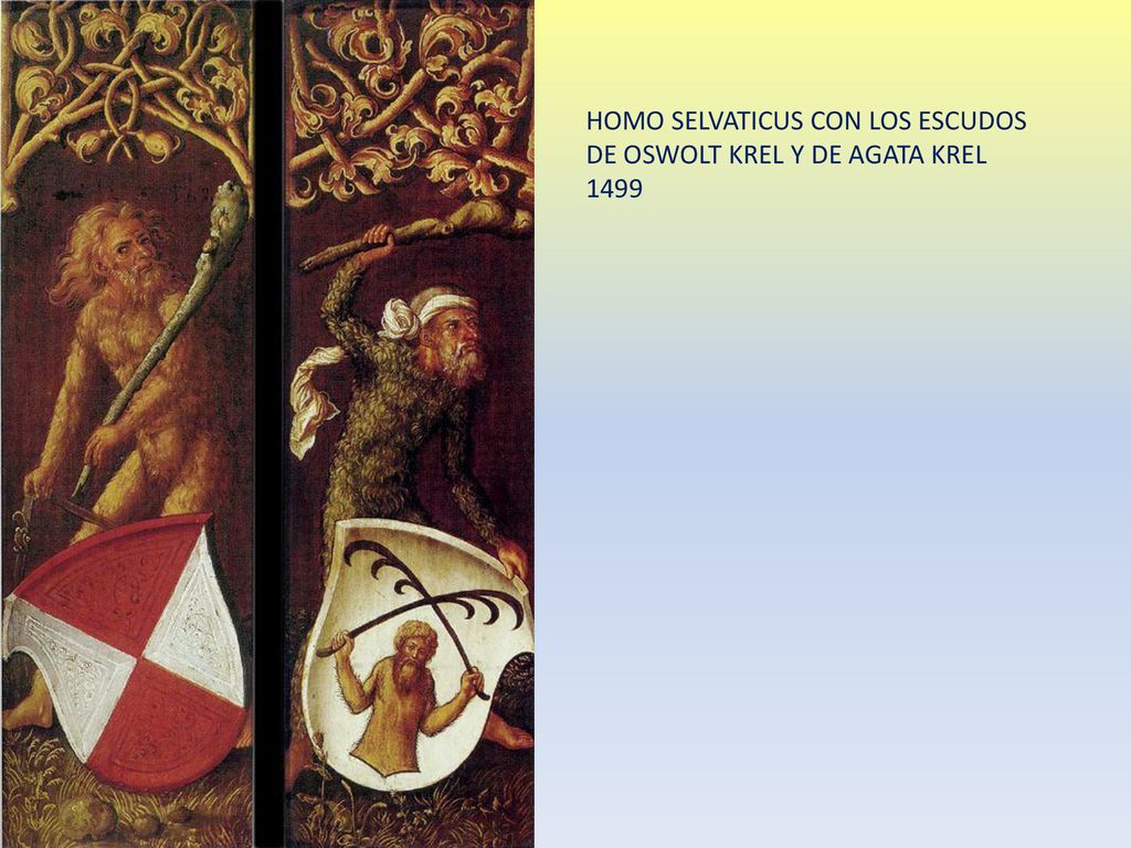 HOMO SELVATICUS CON LOS ESCUDOS DE OSWOLT KREL Y DE AGATA KREL