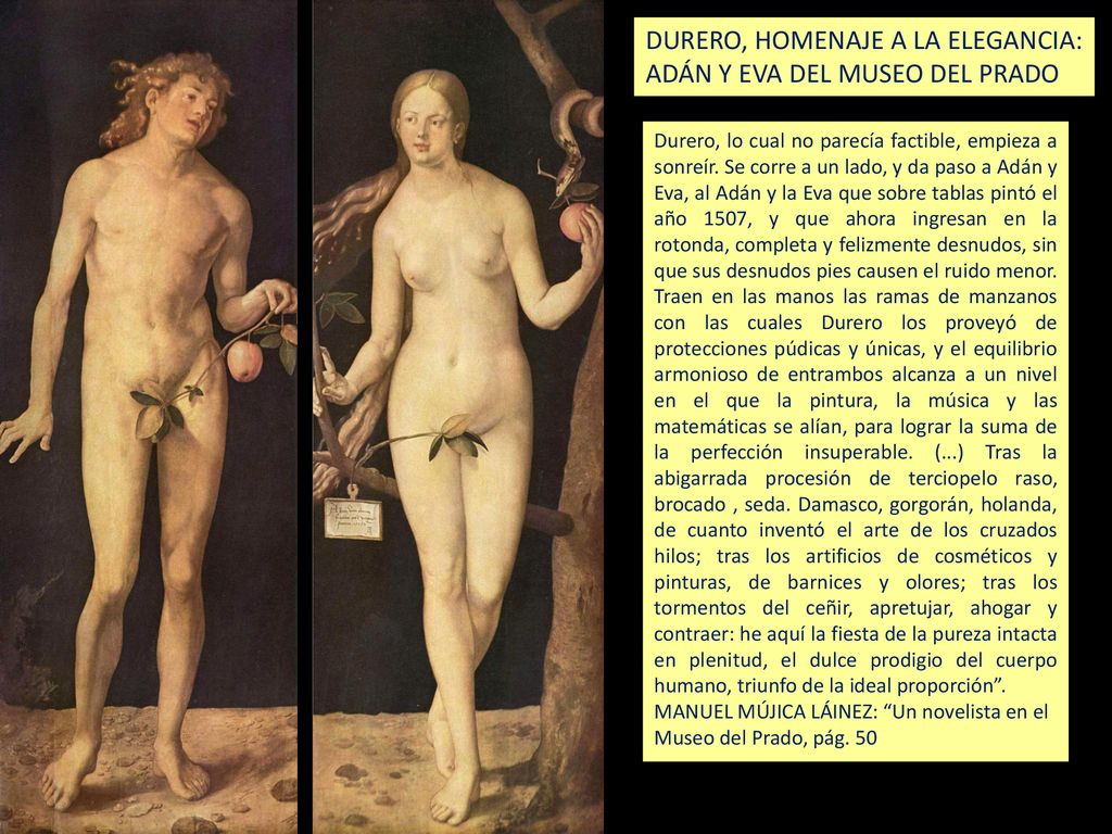 DURERO, HOMENAJE A LA ELEGANCIA: ADÁN Y EVA DEL MUSEO DEL PRADO