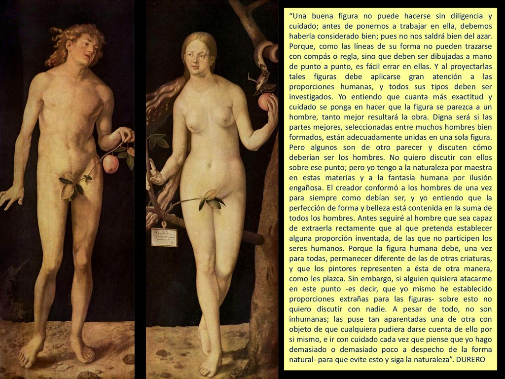 Una buena figura no puede hacerse sin diligencia y cuidado; antes de ponernos a trabajar en ella, debemos haberla considerado bien; pues no nos saldrá bien del azar.