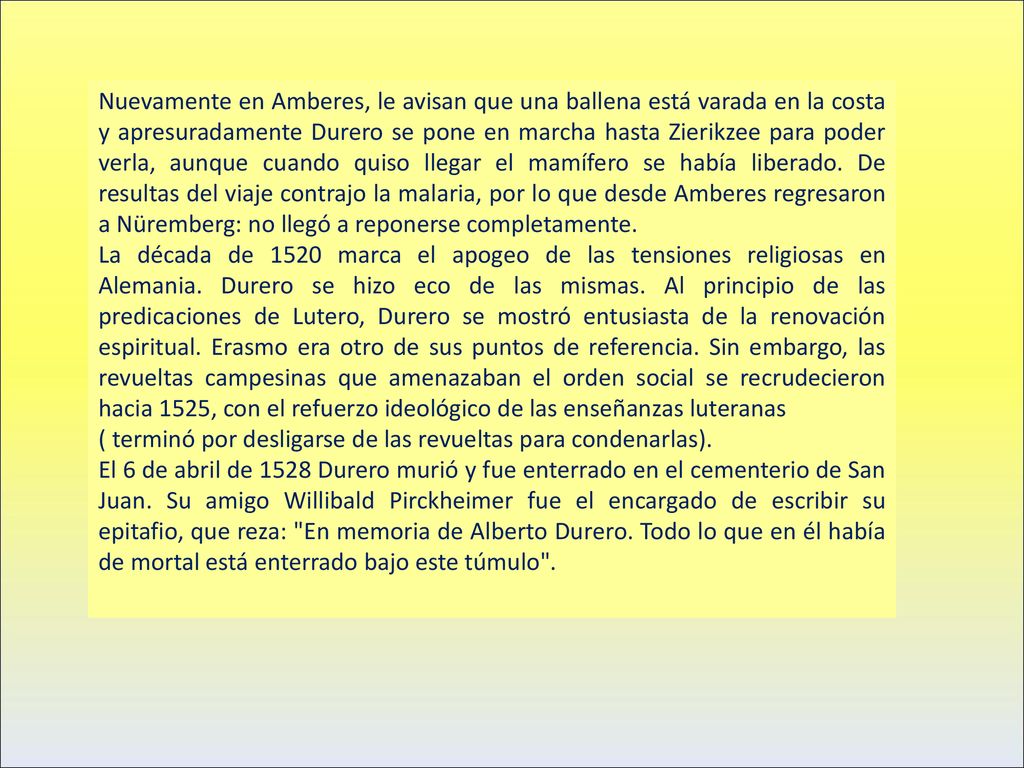 Nuevamente en Amberes, le avisan que una ballena está varada en la costa y apresuradamente Durero se pone en marcha hasta Zierikzee para poder verla, aunque cuando quiso llegar el mamífero se había liberado. De resultas del viaje contrajo la malaria, por lo que desde Amberes regresaron a Nüremberg: no llegó a reponerse completamente.