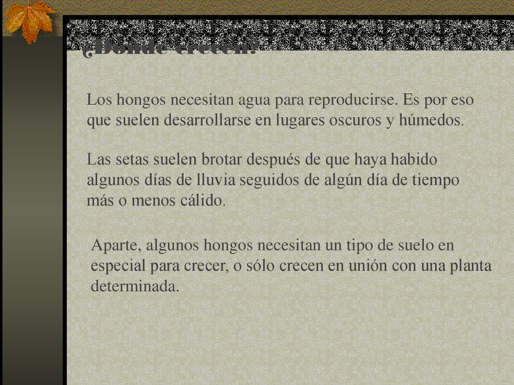 ¿Dónde crecen Los hongos necesitan agua para reproducirse. Es por eso que suelen desarrollarse en lugares oscuros y húmedos.