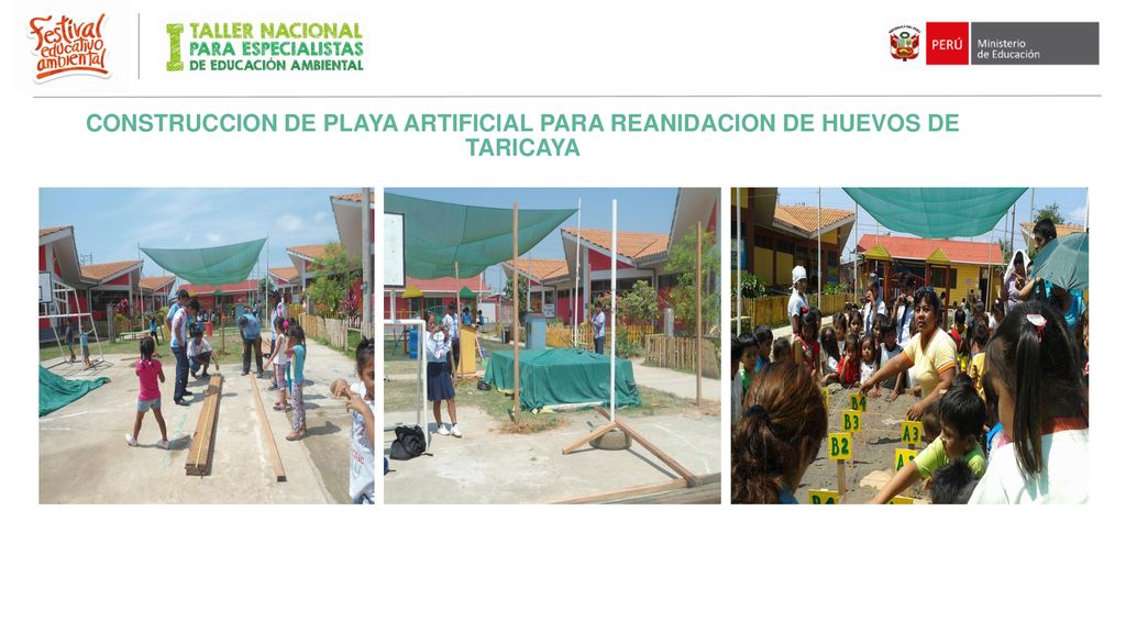 CONSTRUCCION DE PLAYA ARTIFICIAL PARA REANIDACION DE HUEVOS DE TARICAYA
