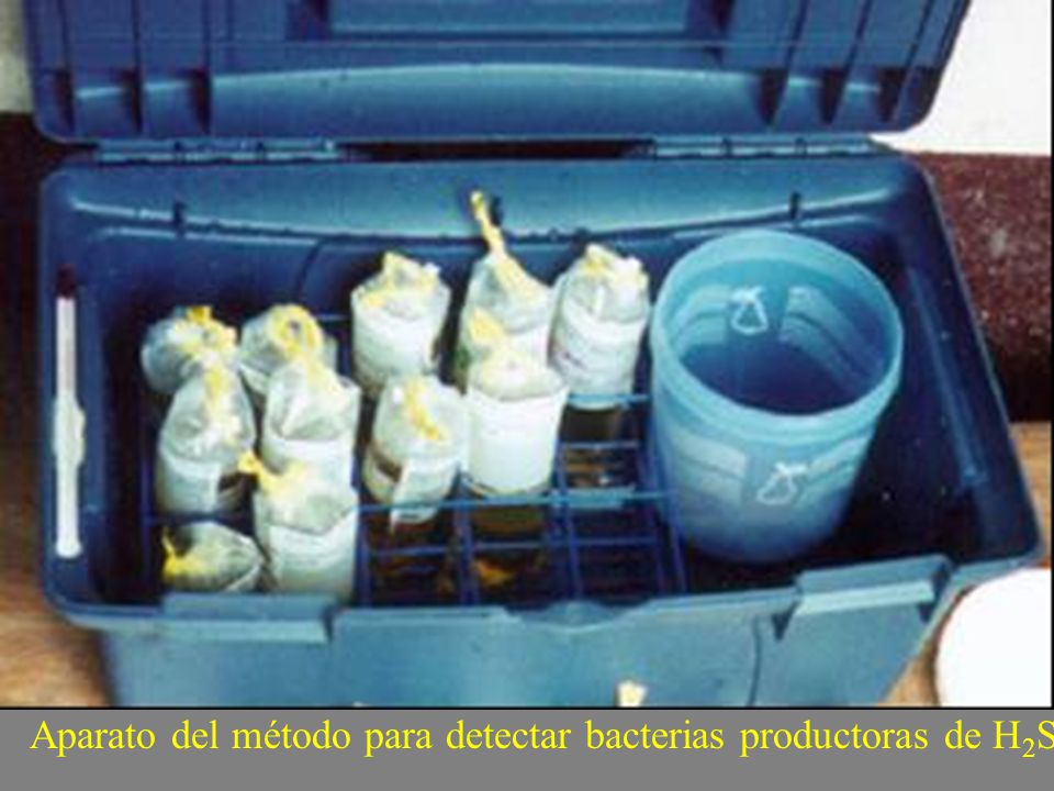 Aparato del método para detectar bacterias productoras de H2S.