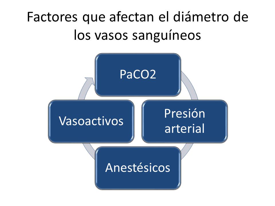Factores que afectan el diámetro de los vasos sanguíneos