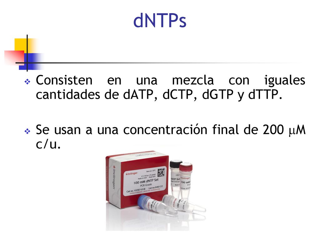 dNTPs Consisten en una mezcla con iguales cantidades de dATP, dCTP, dGTP y dTTP.