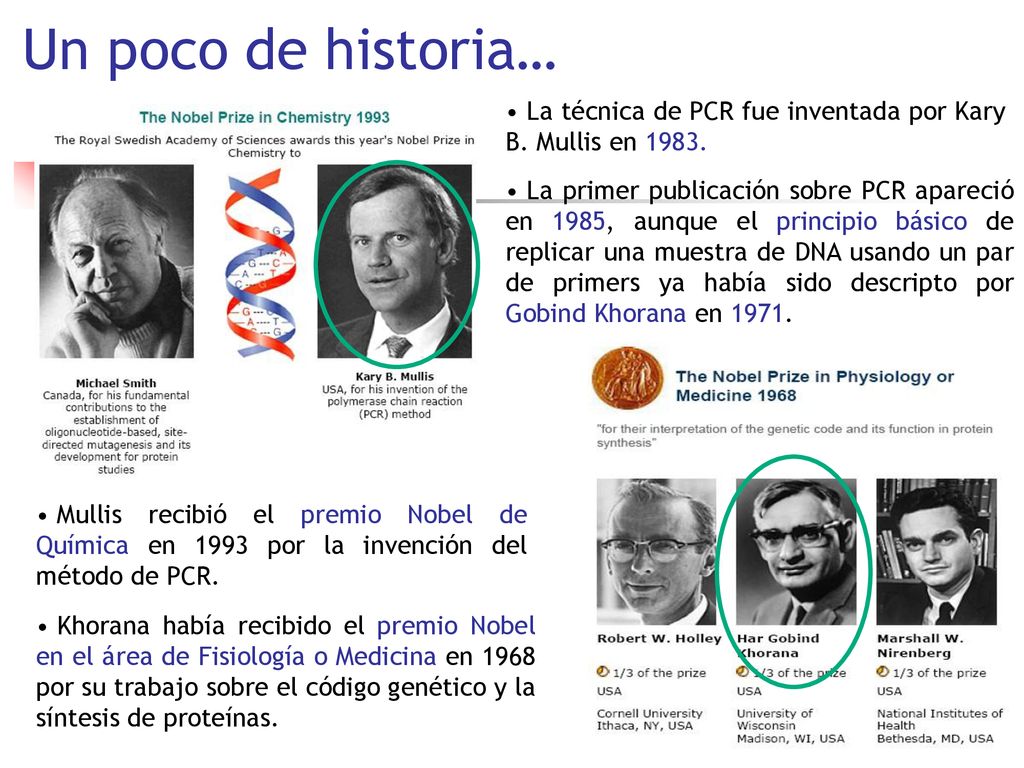 Un poco de historia… La técnica de PCR fue inventada por Kary B. Mullis en