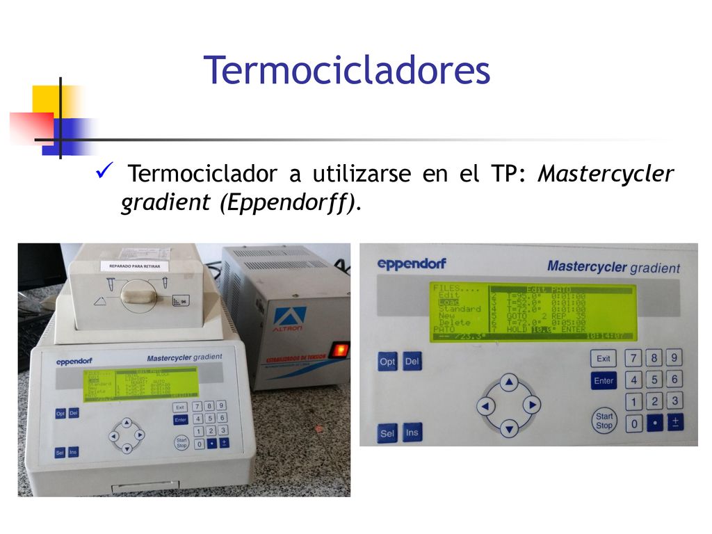 Termocicladores Termociclador a utilizarse en el TP: Mastercycler gradient (Eppendorff).