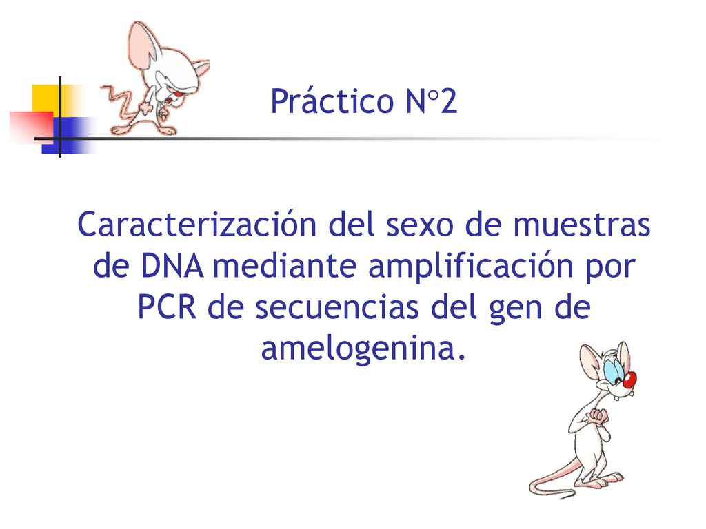 Práctico N2 Caracterización del sexo de muestras de DNA mediante amplificación por PCR de secuencias del gen de amelogenina.