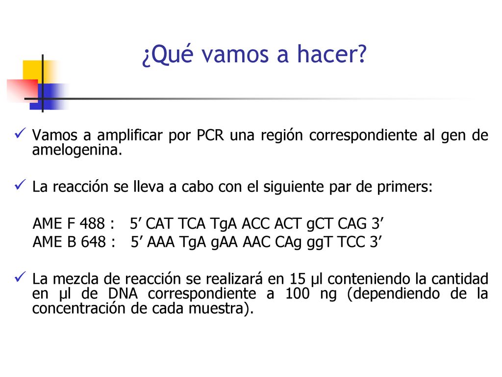 ¿Qué vamos a hacer Vamos a amplificar por PCR una región correspondiente al gen de amelogenina.