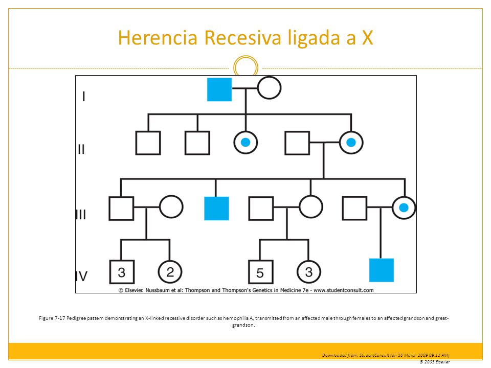 Herencia Recesiva ligada a X