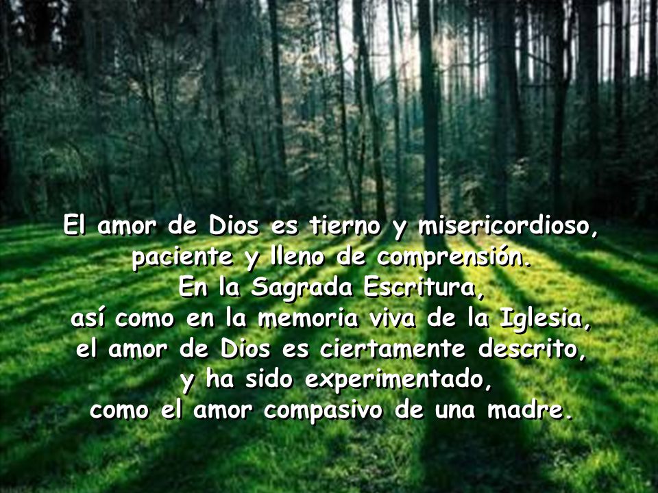 El amor de Dios es tierno y misericordioso,