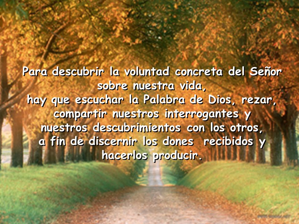 Para descubrir la voluntad concreta del Señor sobre nuestra vida,