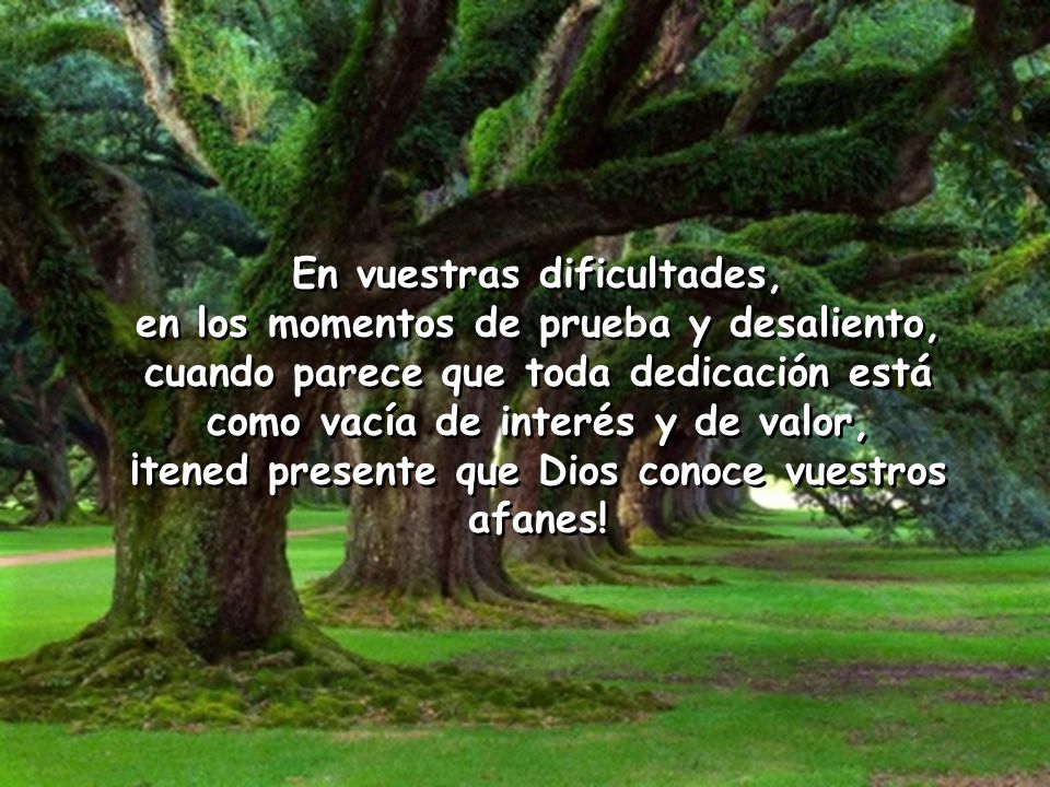 En vuestras dificultades, en los momentos de prueba y desaliento,