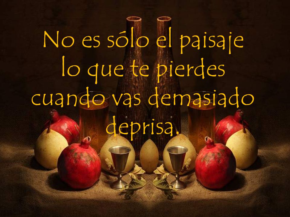 No es sólo el paisaje lo que te pierdes cuando vas demasiado deprisa.