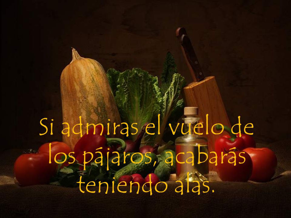 Si admiras el vuelo de los pájaros, acabarás teniendo alas.