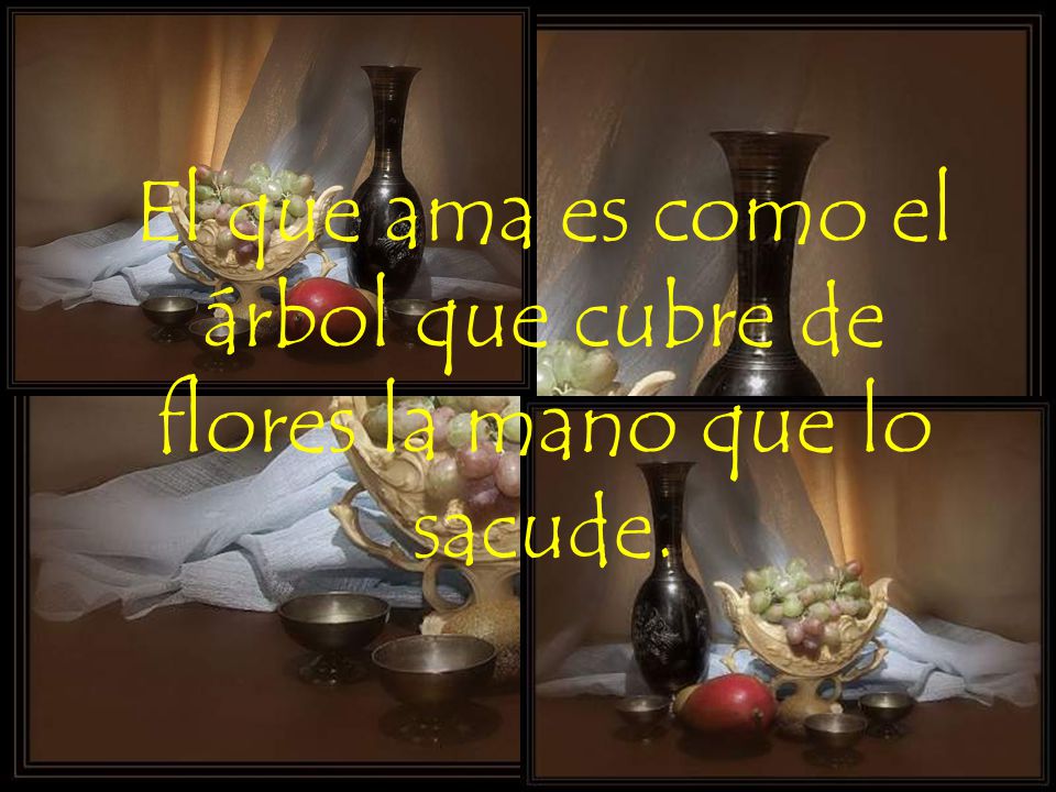 El que ama es como el árbol que cubre de flores la mano que lo sacude.