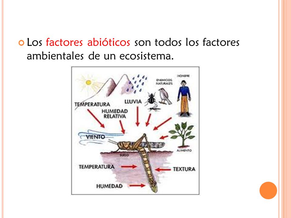 Los factores abióticos son todos los factores ambientales de un ecosistema.