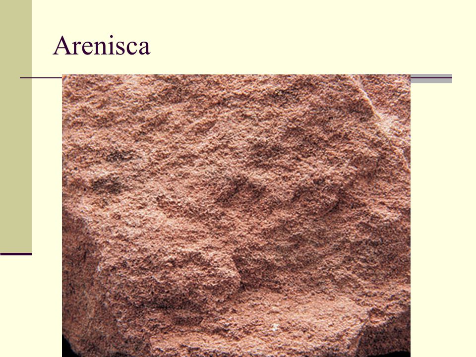 Arenisca
