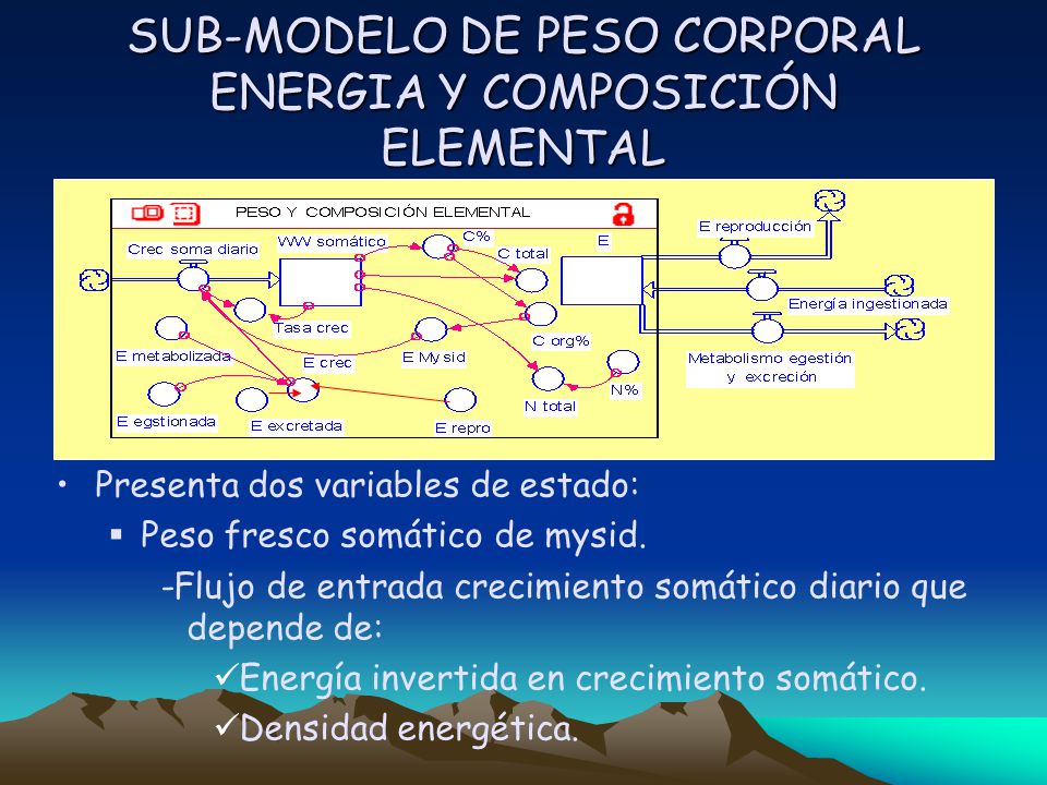 SUB-MODELO DE PESO CORPORAL ENERGIA Y COMPOSICIÓN ELEMENTAL